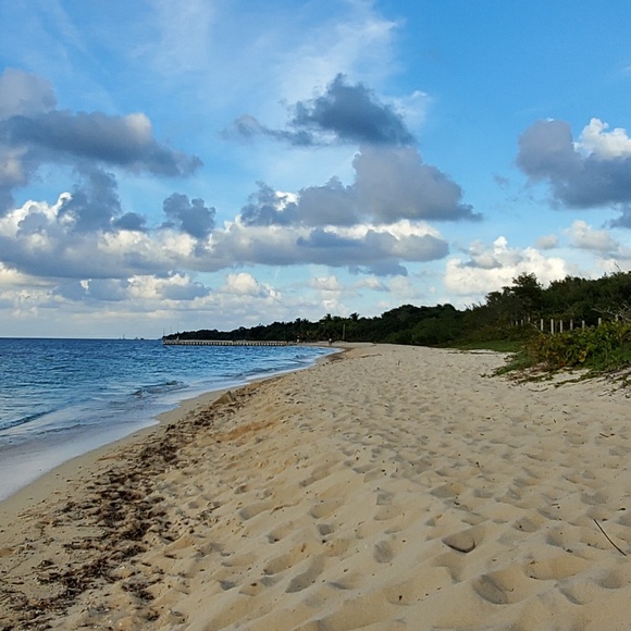 Meet your Posher, Pamela - Picture 1 of 1